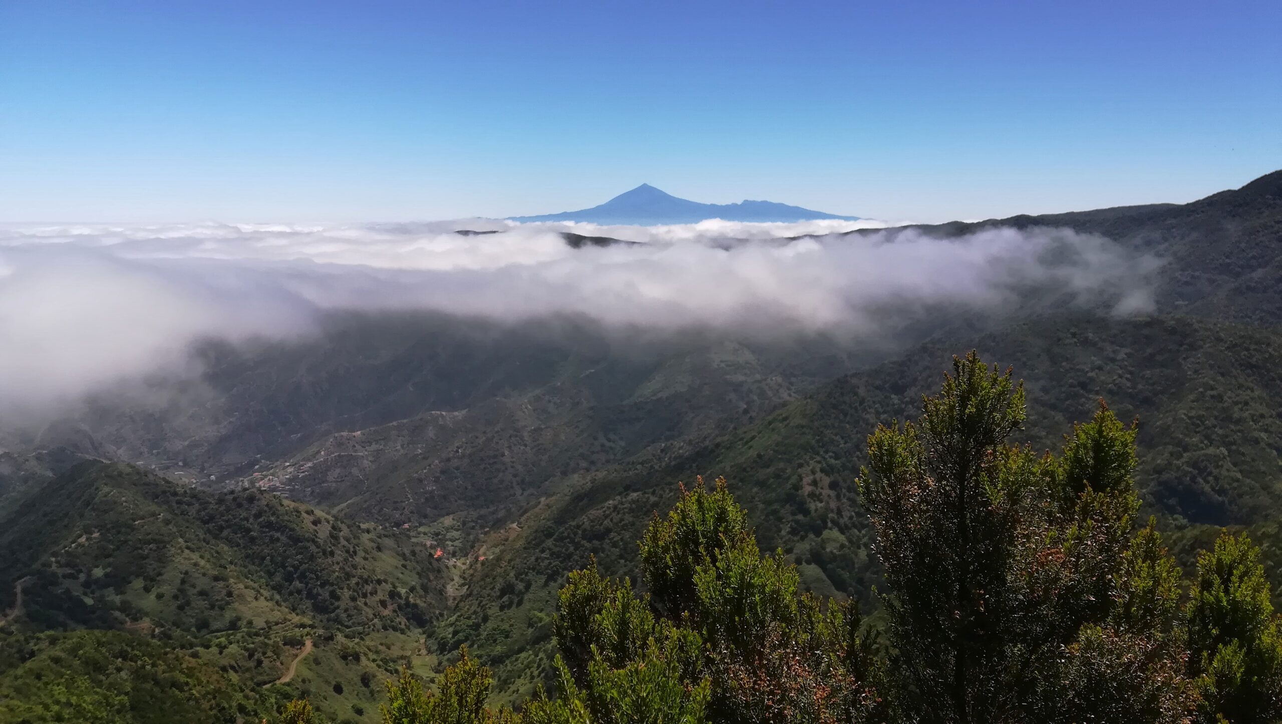 Trekking Garajonay