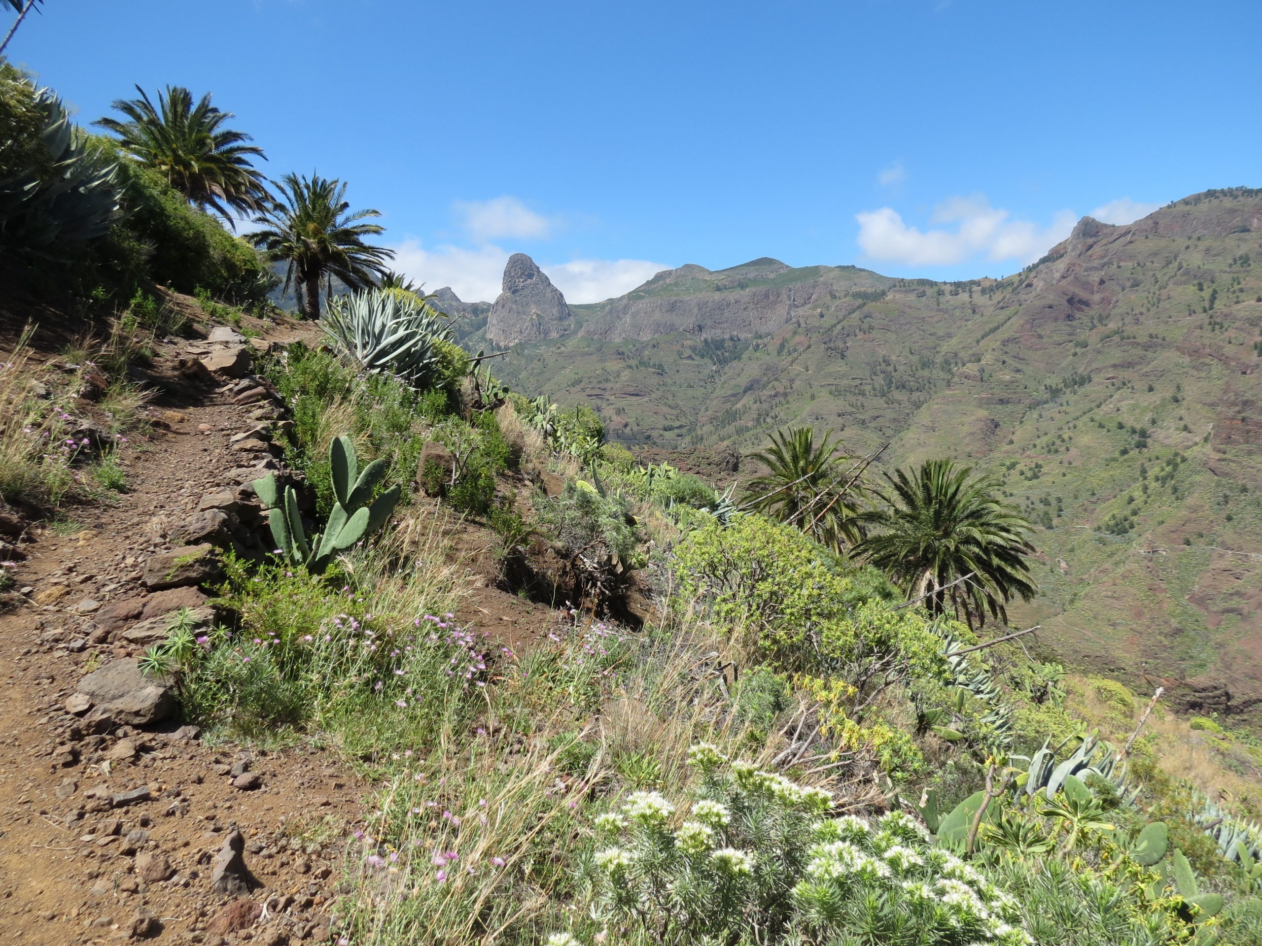 Barranco de Benchijigua