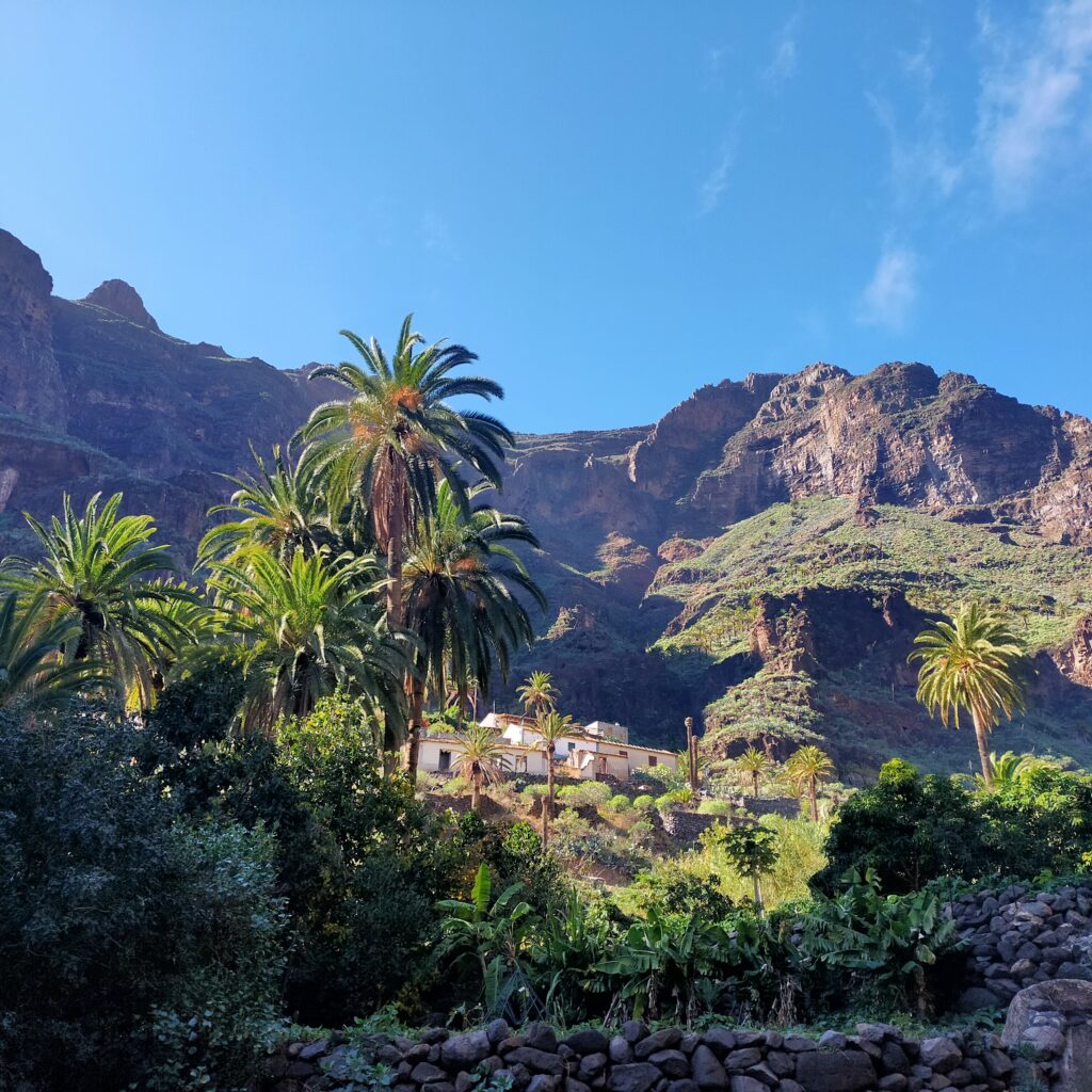 Guarimiar