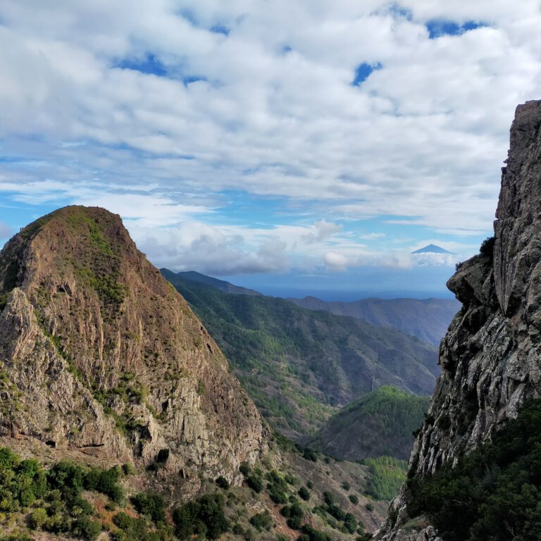 TF Combo1 Parque nacional del Garajonay Es