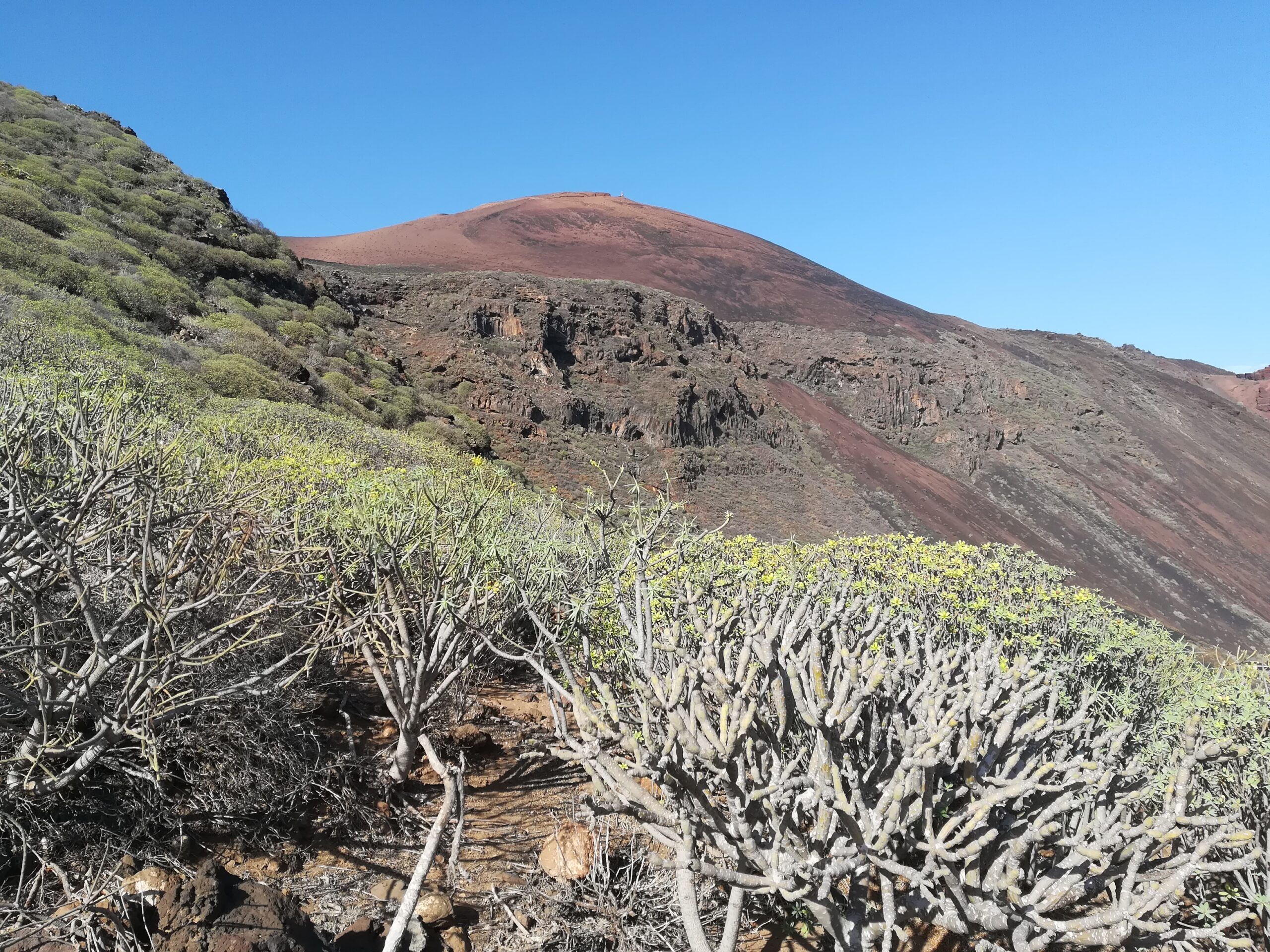 EL Hierro Tamaduste