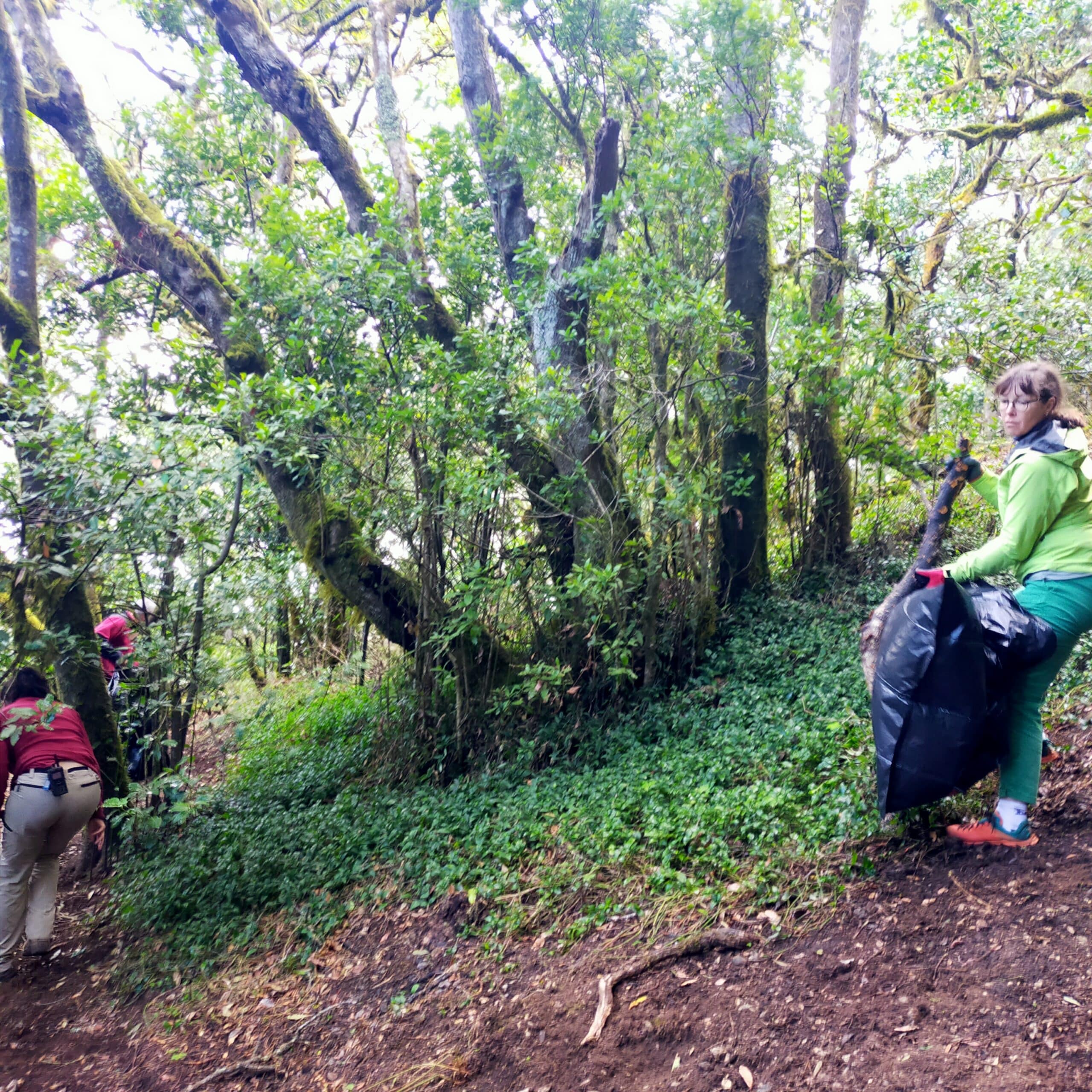 Accion ambiental - Parque nacional Garajonay