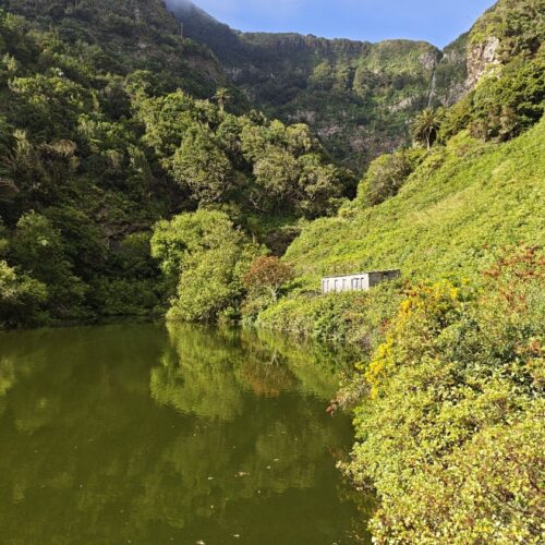 El Cedro, Garajonay