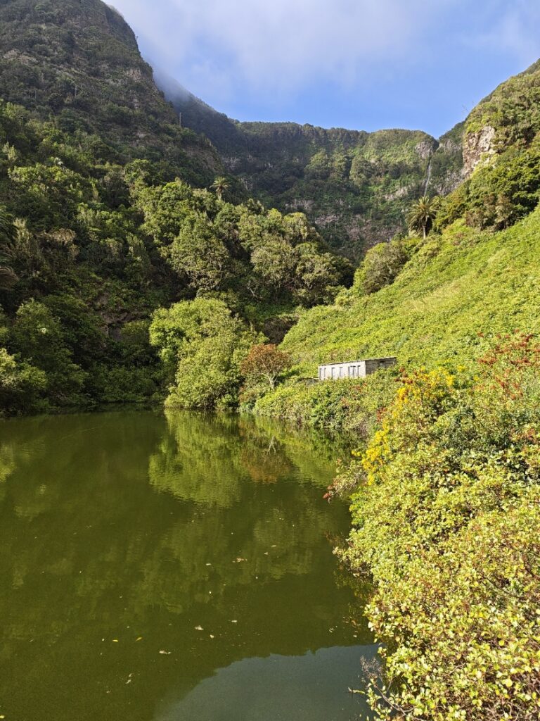 El Cedro, Garajonay