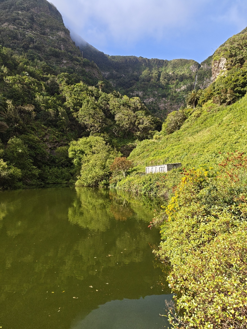 El Cedro, Garajonay
