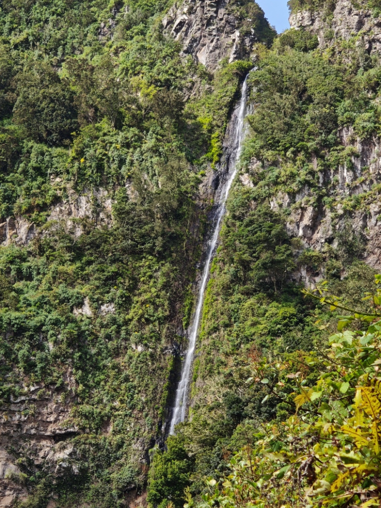 El Cedro, Garajonay