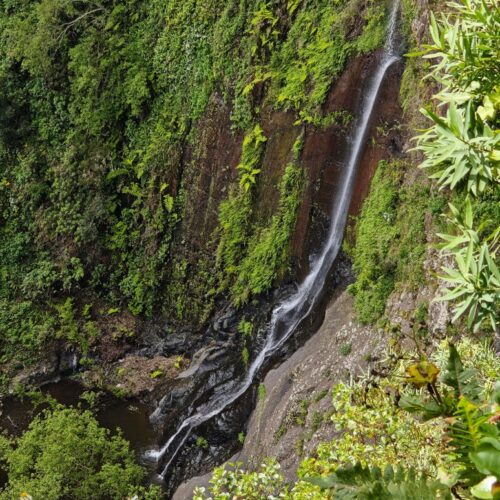 El Cedro, Garajonay