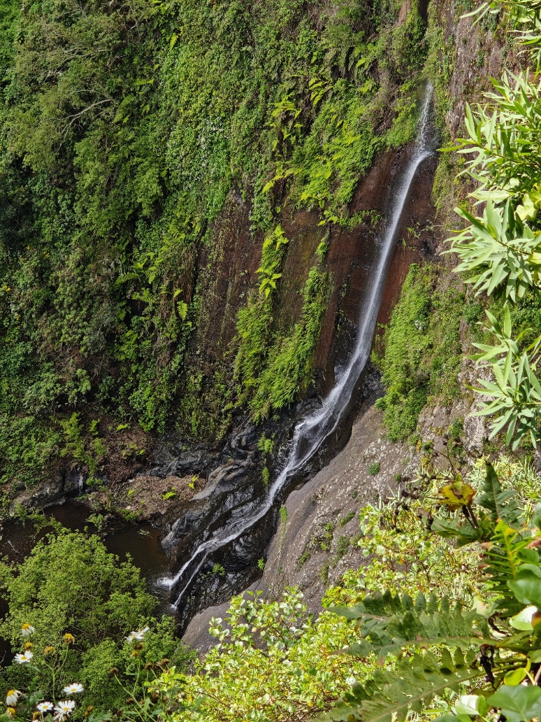 El Cedro, Garajonay