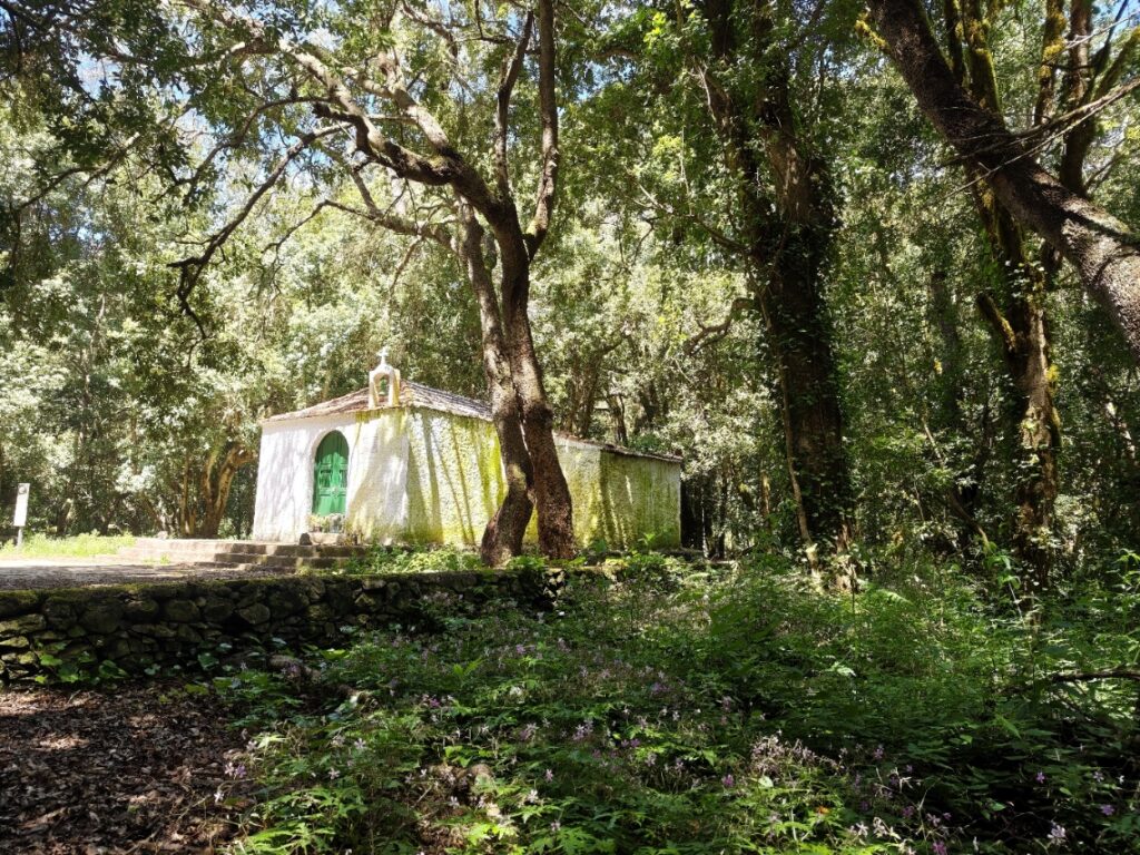 El Cedro, Garajonay