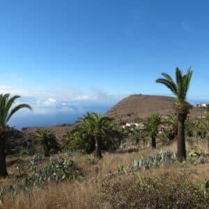 alajero