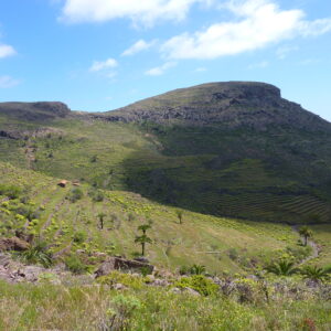 alajero